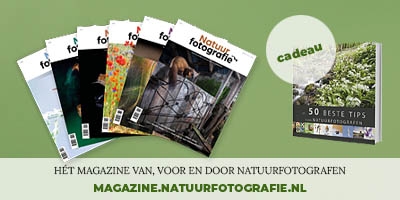 Abonnement Natuurfotografie magazine